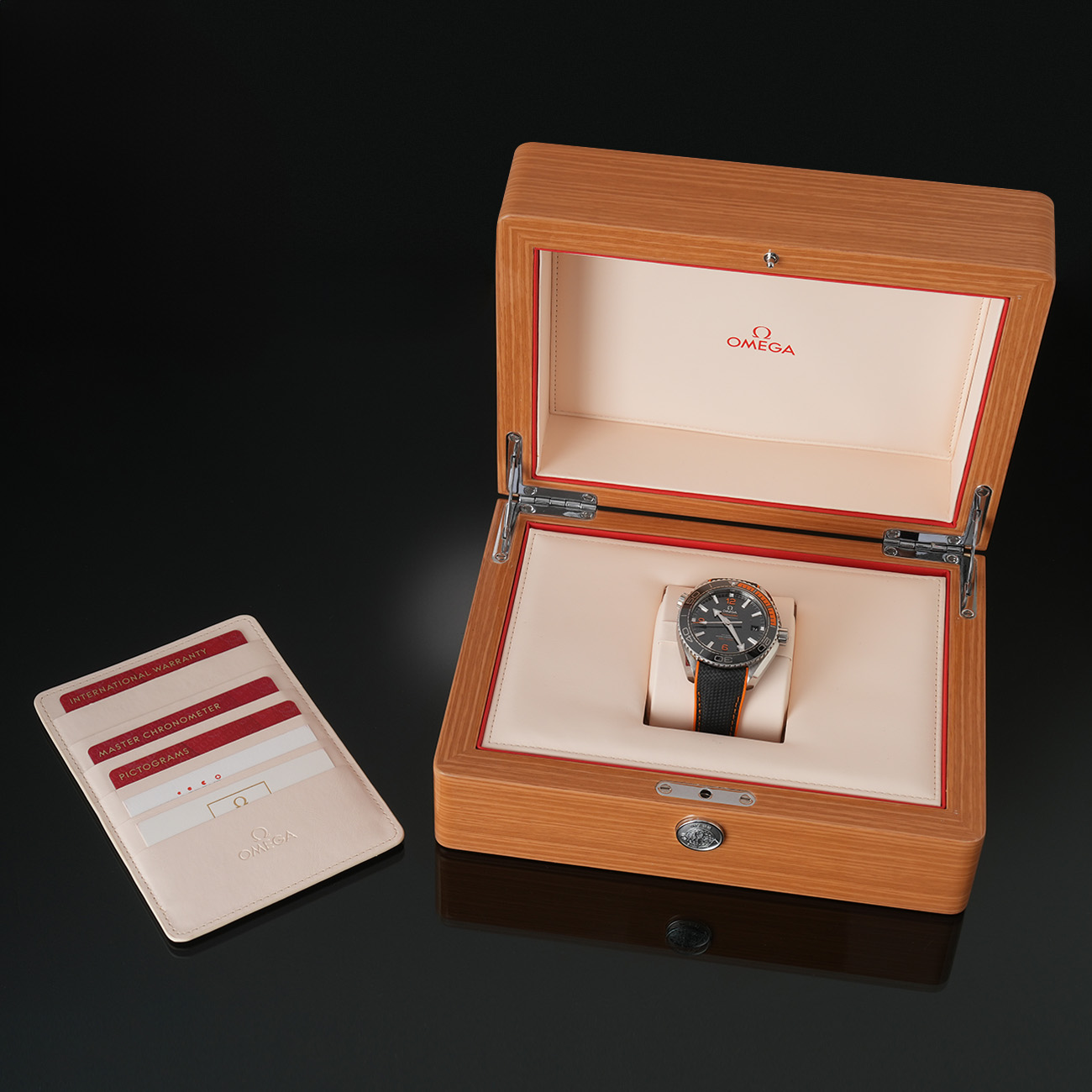 오메가 씨마스터 플래닛 오션