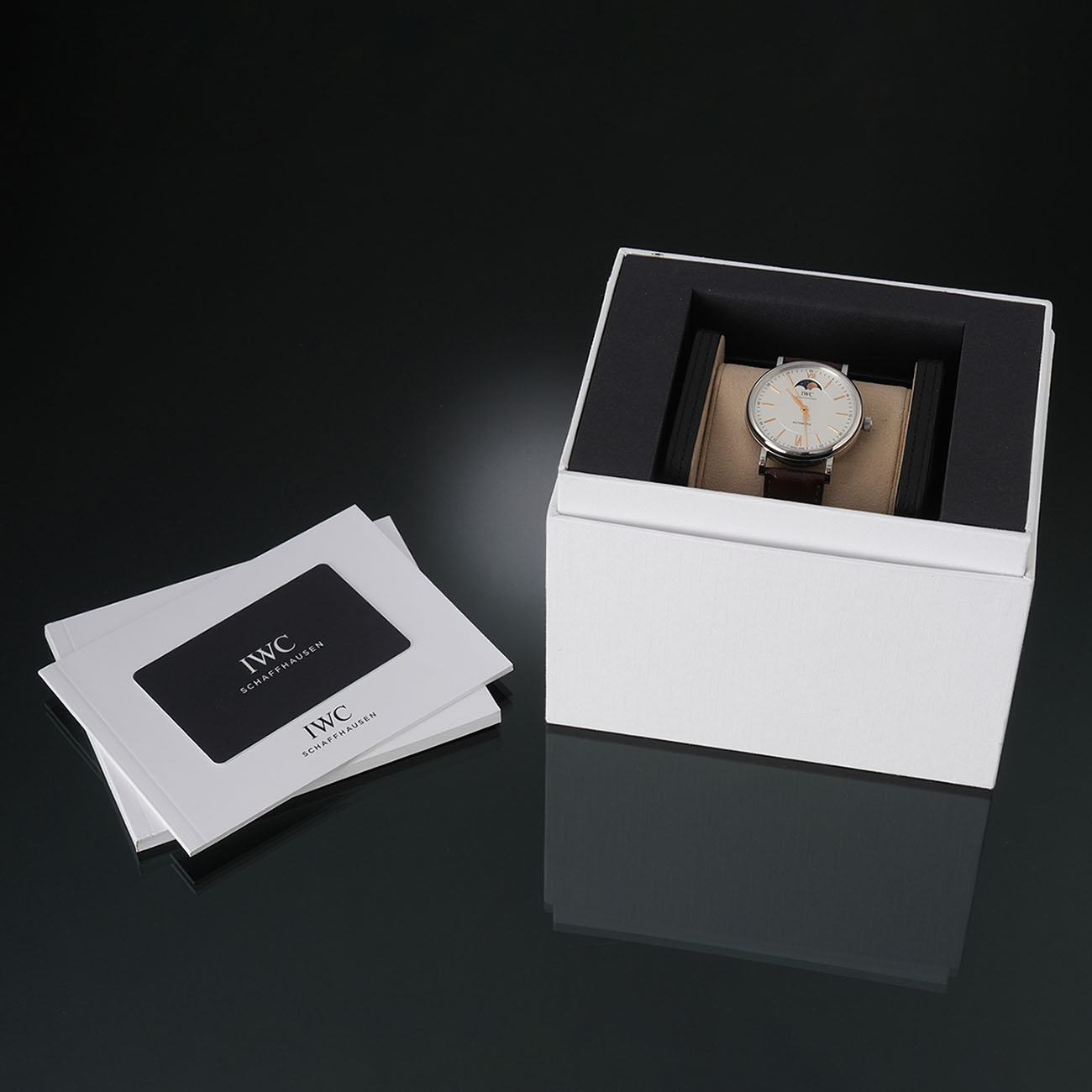 포르토피노 문페이즈